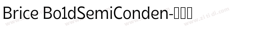 Brice Bo1dSemiConden字体转换